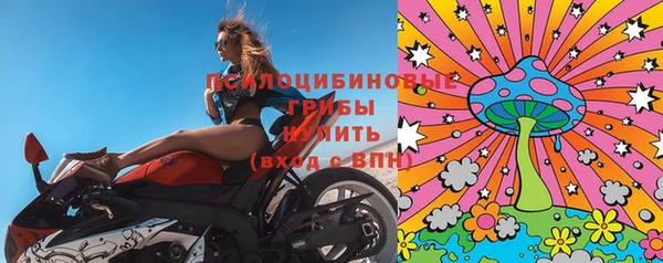 PSILOCYBIN Балабаново