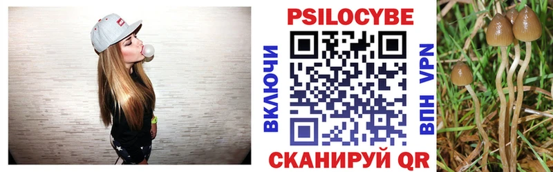 Галлюциногенные грибы Cubensis купить наркотики цена Унеча